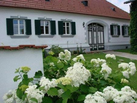 Arkadenhof Kurtz Hotel Markt Allhau Exterior photo